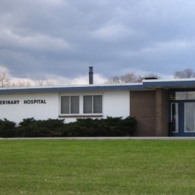 Bild von Queen Village Animal Hospital