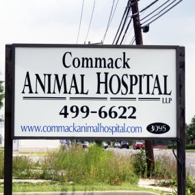 Bild von Commack Animal Hospital