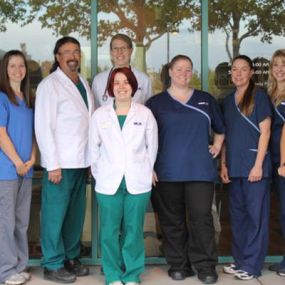 The caring & experienced team at VCA Feline Medical Center