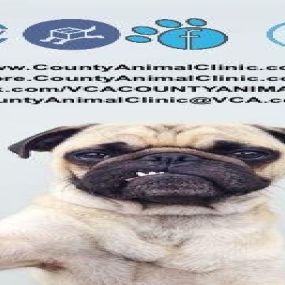 Bild von County Animal Clinic