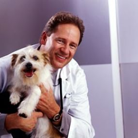 Bild von Jericho Animal Hospital