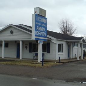 Bild von VCA Dudley Avenue Animal Hospital