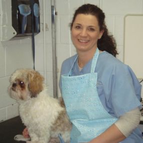 Bild von VCA Dudley Avenue Animal Hospital