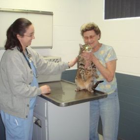 Bild von VCA Dudley Avenue Animal Hospital