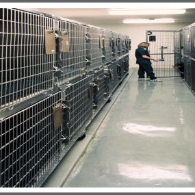 VCA Advanced Care Animal Hospital Kennel