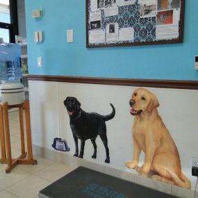 Bild von VCA Pet Doctor Animal Hospital