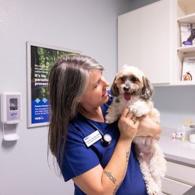 Bild von VCA Health Associates Animal Hospital