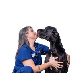 Bild von VCA Health Associates Animal Hospital