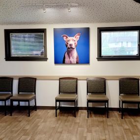 Bild von VCA Northside Animal Hospital