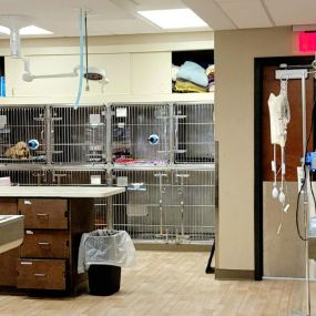 Bild von VCA Northside Animal Hospital