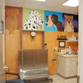 Bild von VCA Ashford Animal Hospital