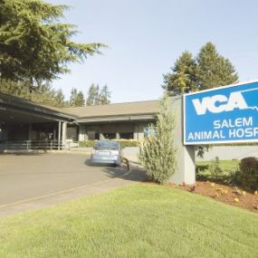 Bild von VCA Salem Animal Hospital
