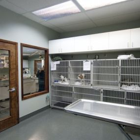 Bild von VCA Salem Animal Hospital