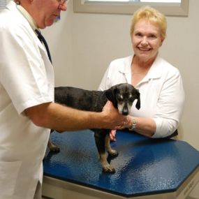 Bild von VCA Smoketown Animal Hospital