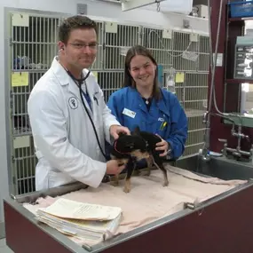 Bild von VCA Southwest Freeway Animal Hospital