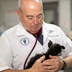 Bild von VCA Southwest Freeway Animal Hospital