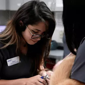 Bild von VCA Southwest Freeway Animal Hospital