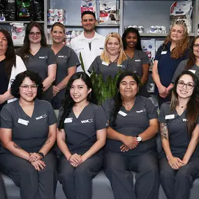 Bild von VCA Southwest Freeway Animal Hospital
