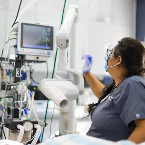 Bild von VCA Southwest Freeway Animal Hospital