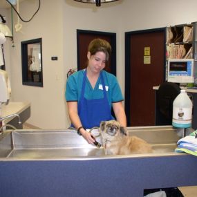 Bild von VCA Ben White Animal Hospital