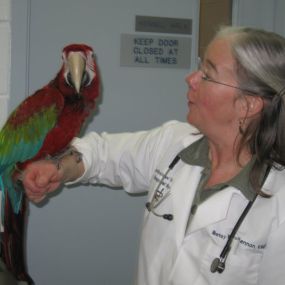 Bild von VCA Northview Animal Hospital Specialty Referral Center