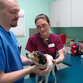 Bild von VCA Preston Park Animal Hospital