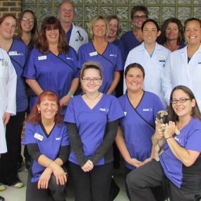 The caring & experienced team at VCA Sinking Spring Animal Hospital