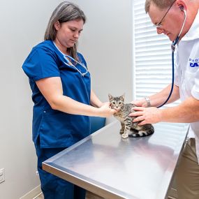 The caring and experienced team at VCA Henderson Pass Animal Hospital!