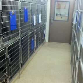 Our Comfortable Boarding Area at VCA Animal Care Center of Mt. Juliet