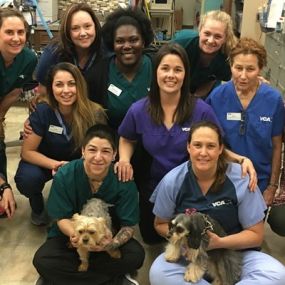 The caring & experienced team at VCA Tanglewood Animal Hospital