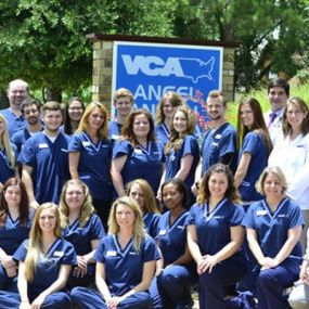 The caring & experienced team at VCA Angel Animal Hospital