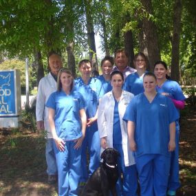 VCA Kingwood Animal Hospital Team