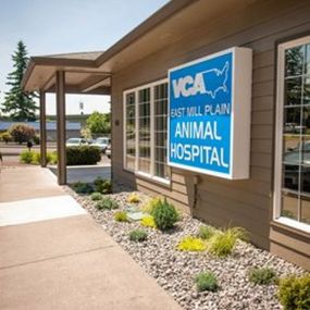 VCA East Mill Plain Animal Hospital