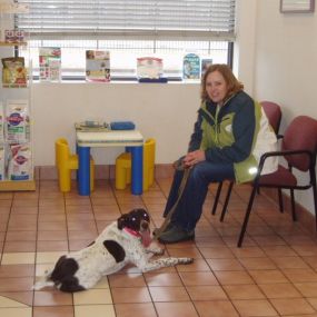 Bild von VCA Companion Care Animal Hospital