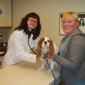 Bild von VCA Companion Care Animal Hospital