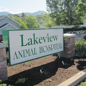 Bild von VCA Lakeview Animal Hospital