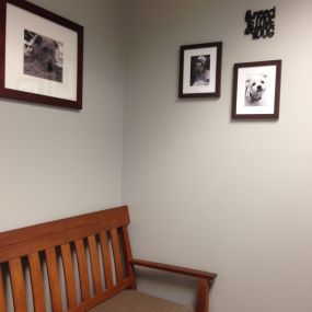 An Exam Room at VCA Five Corners Animal Hospital