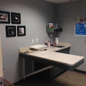 Our Feline-Friendly Exam Room here at VCA Five Corners Animal Hospital