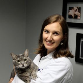 Dr. Rhiannon Harris at VCA Five Corners Animal Hospital