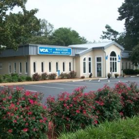 Bild von VCA Boulevard Animal Hospital