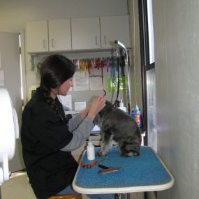 Bild von VCA Highlands Animal Hospital