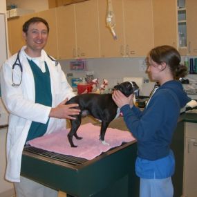 Bild von VCA Alderwood Companion Animal Hospital