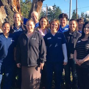 The caring & experienced team at VCA Rose Hill Animal Hospital