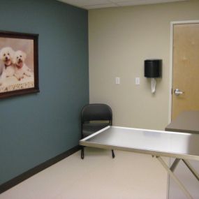An exam room at VCA Rose Hill Animal Hospital