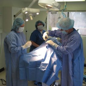 Experienced surgeons at work at VCA Rose Hill Animal Hospital