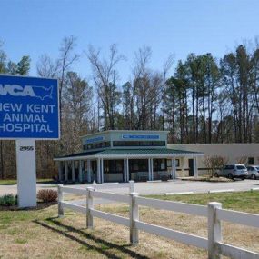 Welcome to VCA New Kent Animal Hospital!