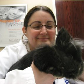 Bild von VCA All Pet Animal Hospital/Taylorsville
