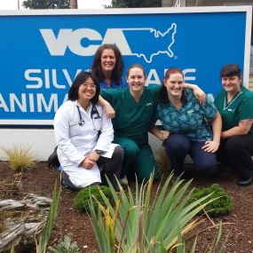 Bild von VCA Silver Lake Animal Hospital