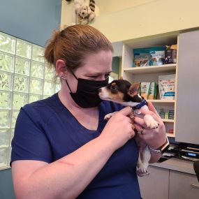 Bild von VCA Albemarle Veterinary Health Care Center