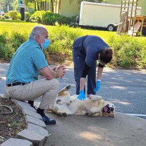 Bild von VCA Albemarle Veterinary Health Care Center